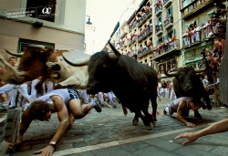 QE Convenience Store: Bull Run