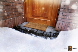 Bosca: Snow