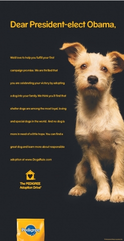 Pedigree Adoption Drive: Dear President-Elect Obama