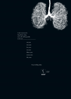 ADESF – Association for smoker awareness: Lungs