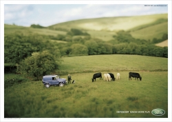 Landrover Commercial Vehicles: Cows