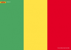 DHL Express Service: Green