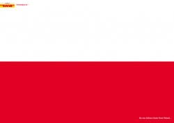 DHL Express Service: Red