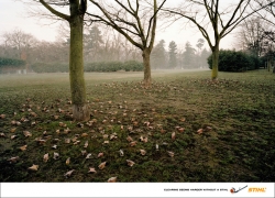 Stihl: Clearing