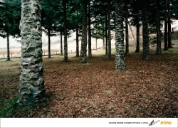 Stihl: Sawing