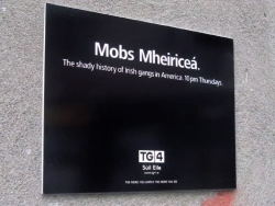 TG4: Cement Grave