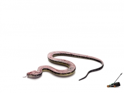 Black & Decker Lawn Mower: Snake
