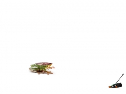 Black & Decker Lawn Mower: Frog