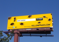 AT&T Yellowpages.com: Pest Control