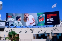 Diet Mountain Dew: Beard beginning
