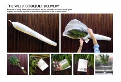 TV6: The Weed Bouquet Delivery