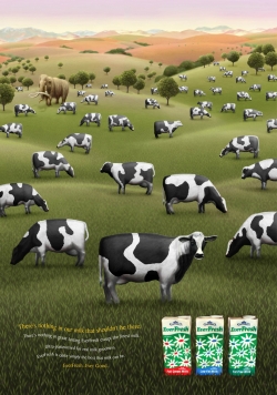 EverFresh UHT Milk: Mammoth