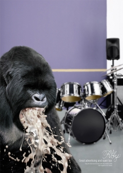 Roy Awards: Gorilla