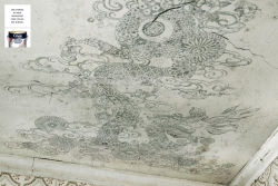 Coral Anti Mold Paint: Decorations