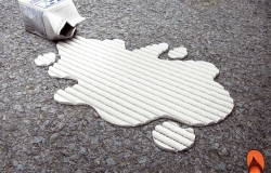 Scholl: Milk