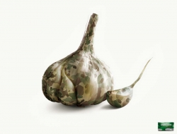 Chlormint:  Garlic