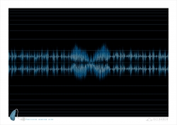 Bay Audio: Butterfly