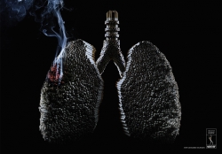 Adesf: Lungs