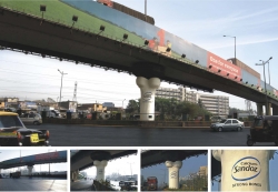 Novartis: Bone Flyover