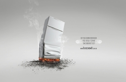 tabaconomia.com: burn dreams