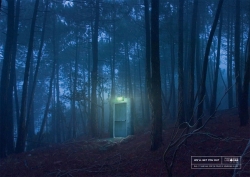 LandSAR: Forest