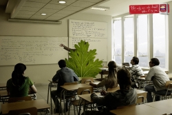colgate floss:  parsley