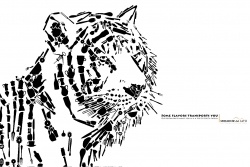 Mirador del Alto: Tiger
