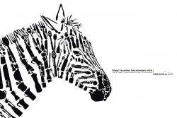 Mirador del Alto: Zebra