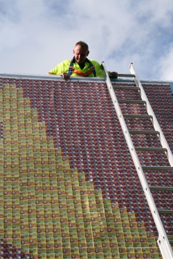 The Outdoor Awards: Scratchie Billboard