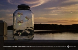 GE: Fireflies