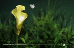 GE: Flower