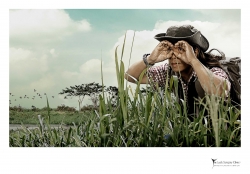 laser vision correction: Bird Watcher