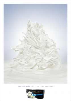 Connoisseur Gourmet Yoghurt: Vanilla