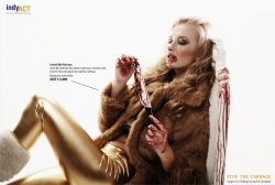 IndyAct: Fox