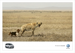 VW Caravelle: Hyena