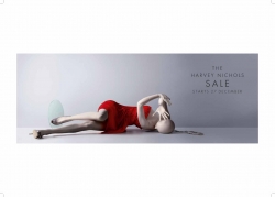 Harvey Nichols Sale: Lying
