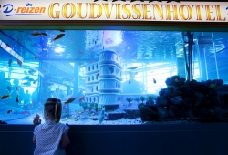 D-Reizen (D-Travel): Goldfish Hotel