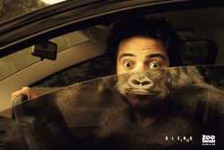 Zoo Safari: Gorilla