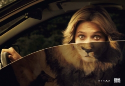 Zoo Safari: Lion