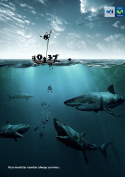 Movistar:  Sharks