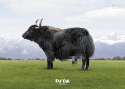 Fat Yak: Alcohol