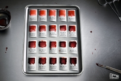 13ème Rue: Blood