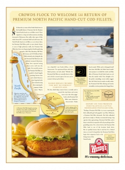 Wendy's: The Great Fish Fillet