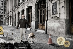 Nutribalance: Blind