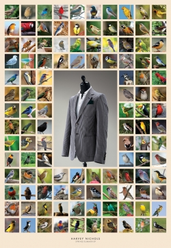 Harvey Nichols: Birds