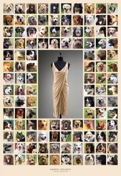 Harvey Nichols: Dogs