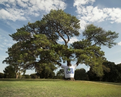 Earth Hour: Vote Earth Tree-Shirt