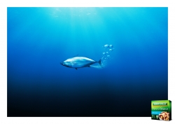 John West: Farting Fish