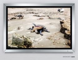 SANYO: Divers