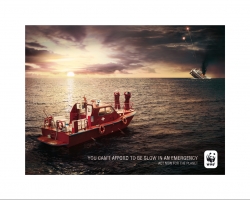 WWF: Boat